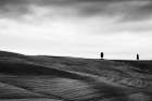 To the Horizon Art Print by Aledanda