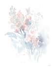Fresh Blooms I Art Print