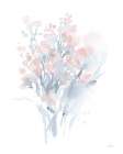 Fresh Blooms II Art Print