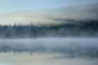 Redfish Lake Idaho Art Print