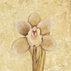 Petite Orchid II Art Print