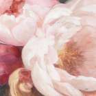 Scent of Summer Art Print