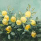 Lemon Grove II Kitchen Print