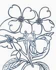BW Blooms III Art Print