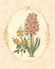 Gentle Soul Bouquet II Art Print