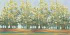 Aspen Grove III Art Print