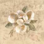 White Floral III Art Print