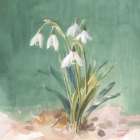 Soft Dewdrops Art Print