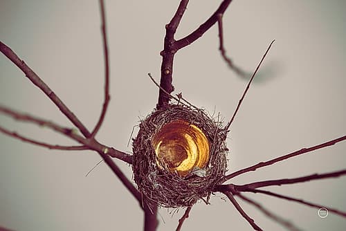 What is Golden Art Print by Nathan Larson