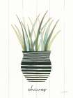 Herb Garden VI Kitchen Print