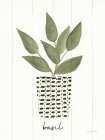 Herb Garden VII Kitchen Print
