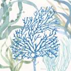 Soft Shores VI Art Print