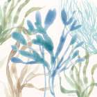 Soft Shores IX Art Print
