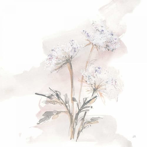 Queen Annes Lace I Art Print