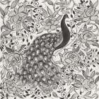 Peacock Garden III BW Art Print