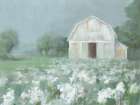 White Barn Meadow Art Print