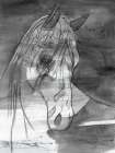 Moonlight BW Art Print