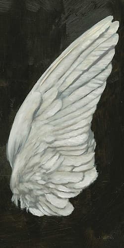 Wings III Art Print