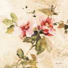 Spring Roses III Art Print