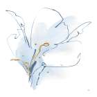 Blue and Gold Floral II Art Print