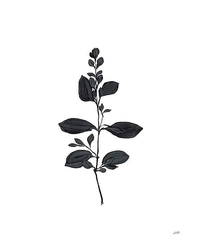 Botanical Study Branch Nature Print