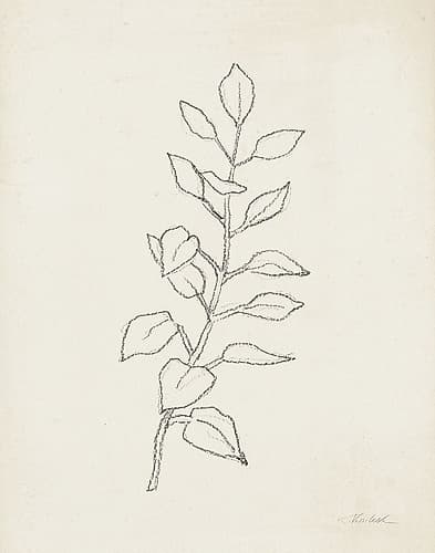 August Branch I Food Print