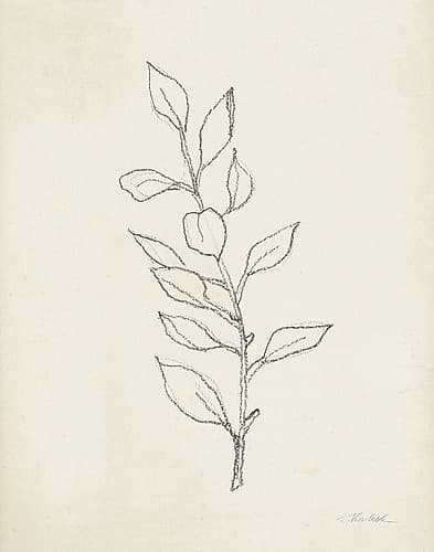 August Branch II Food Print