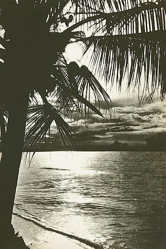 Palm Beach II Coastal Print