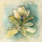 French Magnolia Art Print
