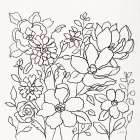 Flower Lace II Art Print