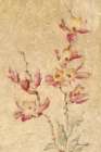 Southern Floral I