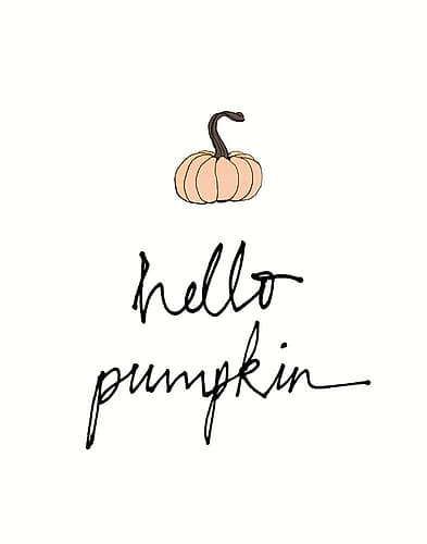 Hello Pumpkin Art Print
