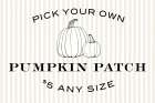 Pumpkin Patch Art Print