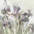 Spring Iris I Purple Art Print