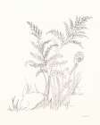 Nature Sketchbook VI Art Print