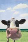 Funny Cow Art Print