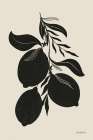 Lemon Silhouette I Art Print