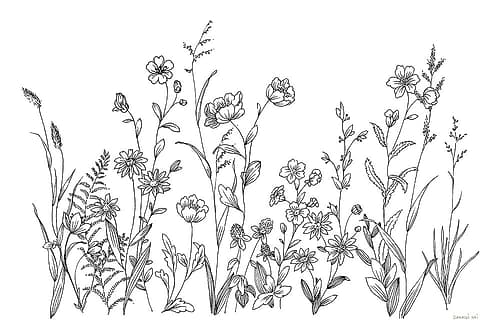 Black and White Garden Art Print