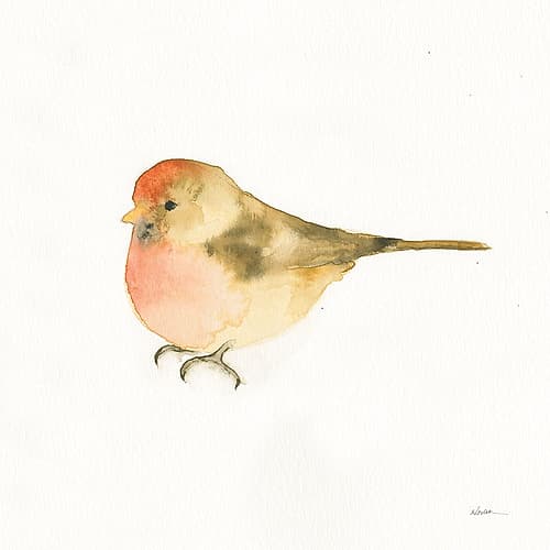 Watercolor Birds III Art Print