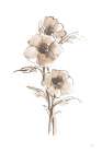 Wash Anemone II Neutral Art Print