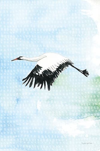 Crane in Flight II Art Print