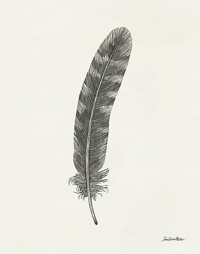 Springtime Feather I Art Print