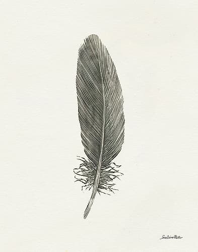Springtime Feather II Art Print by Sara Zieve Miller