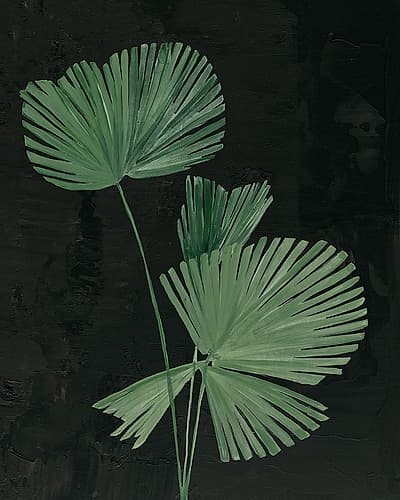 Palm Botanical III Black Nature Print