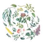 Victorian Garden Bright I Art Print