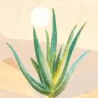 Desert Greenhouse V Art Print