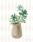 Desert Greenhouse X Art Print