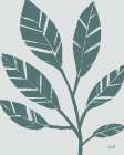 Botanical Sketches III Green Art Print