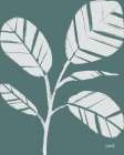Botanical Sketches IV Green Art Print
