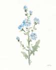 Flowers of the Wild III Art Print